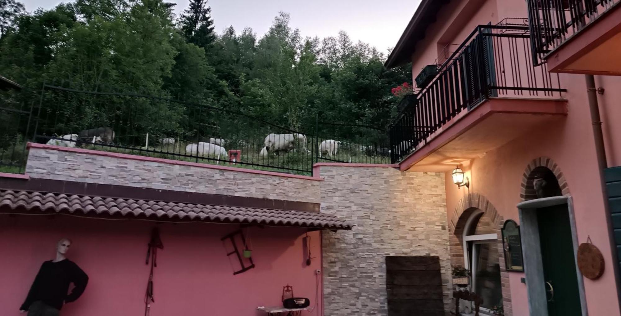 B&B Casa Dell'Orso Lurisia Extérieur photo